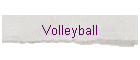 Volleyball